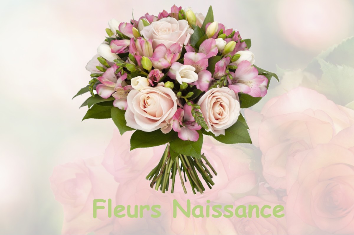 fleurs naissance SAINTE-CROIX-SUR-BUCHY