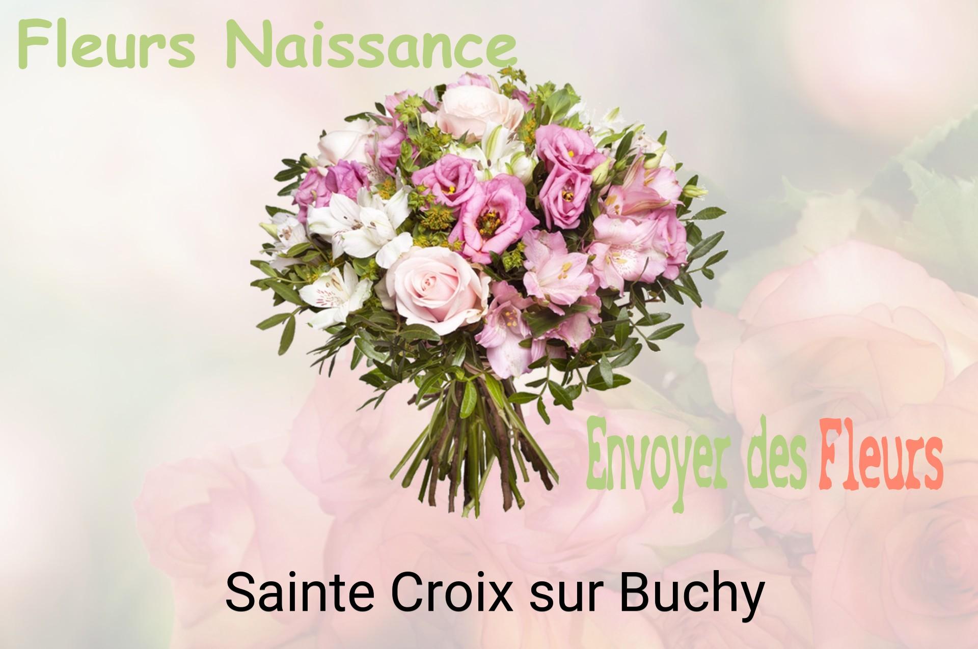 Bouquet de fleurs de naissance livré à Sainte-Croix-sur-Buchy